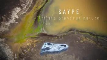 saype