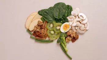 Les pouvoirs de l'alimentation sur notre cerveau