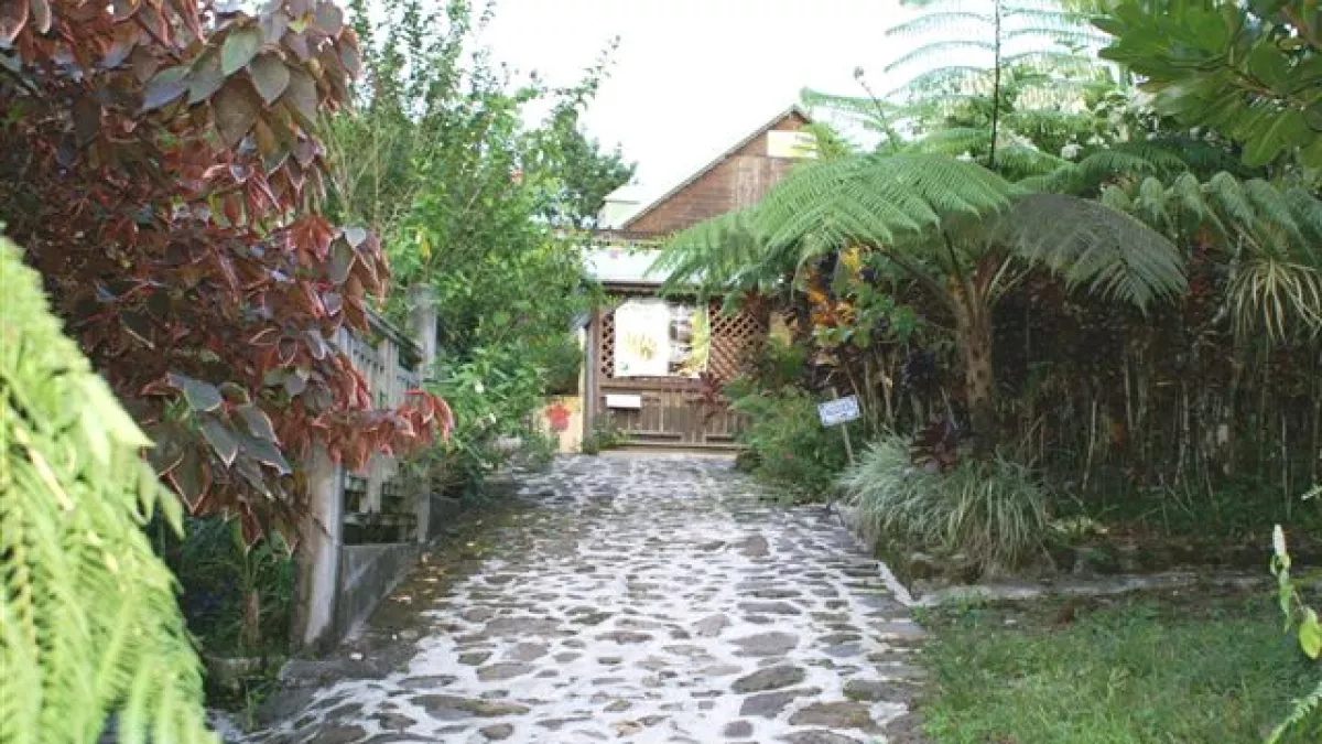 LA MAISON DE LA BANANE