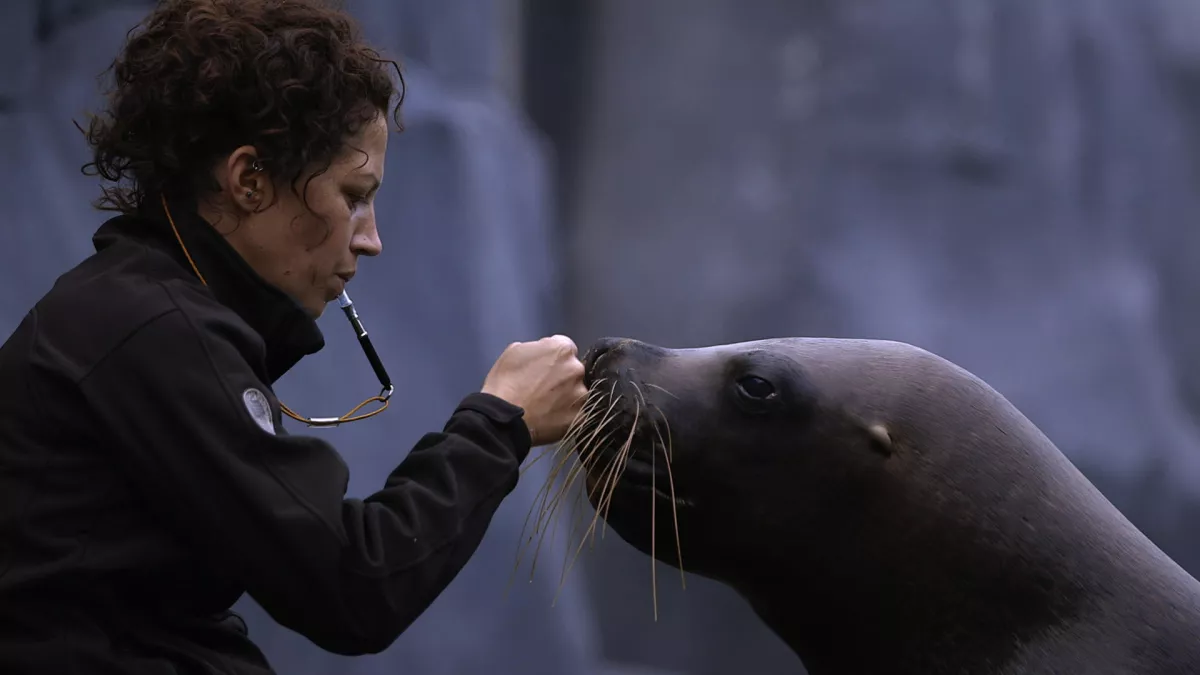 AU COEUR DU ZOO DE PARIS