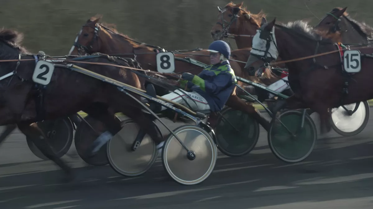 Course à Vincennes