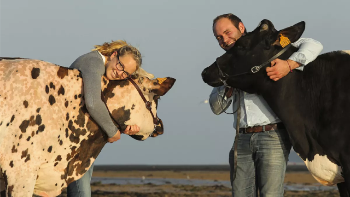 Salon de l'agriculture 2017 du 20 Février au 5 Mars