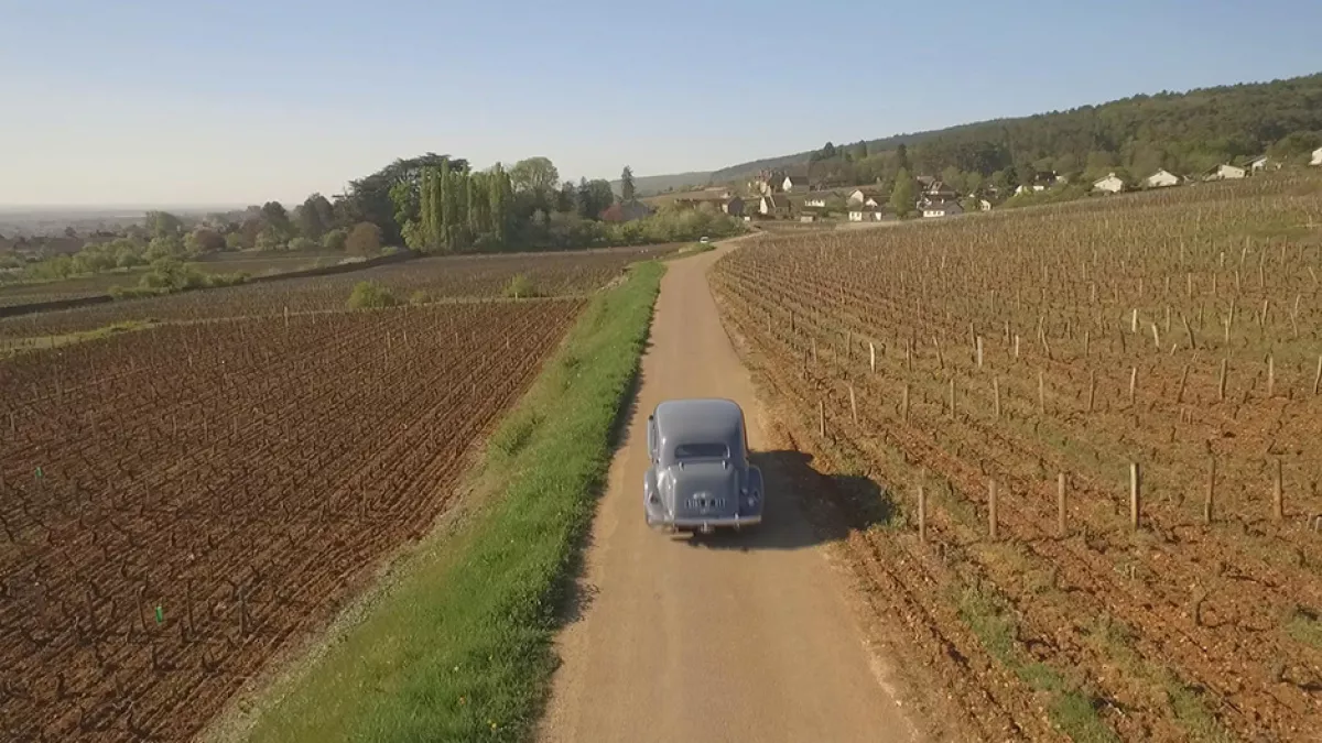 Route des Grands Crus