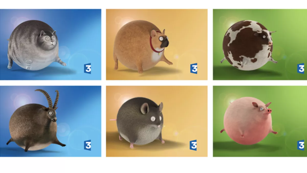 Animaux gonflés