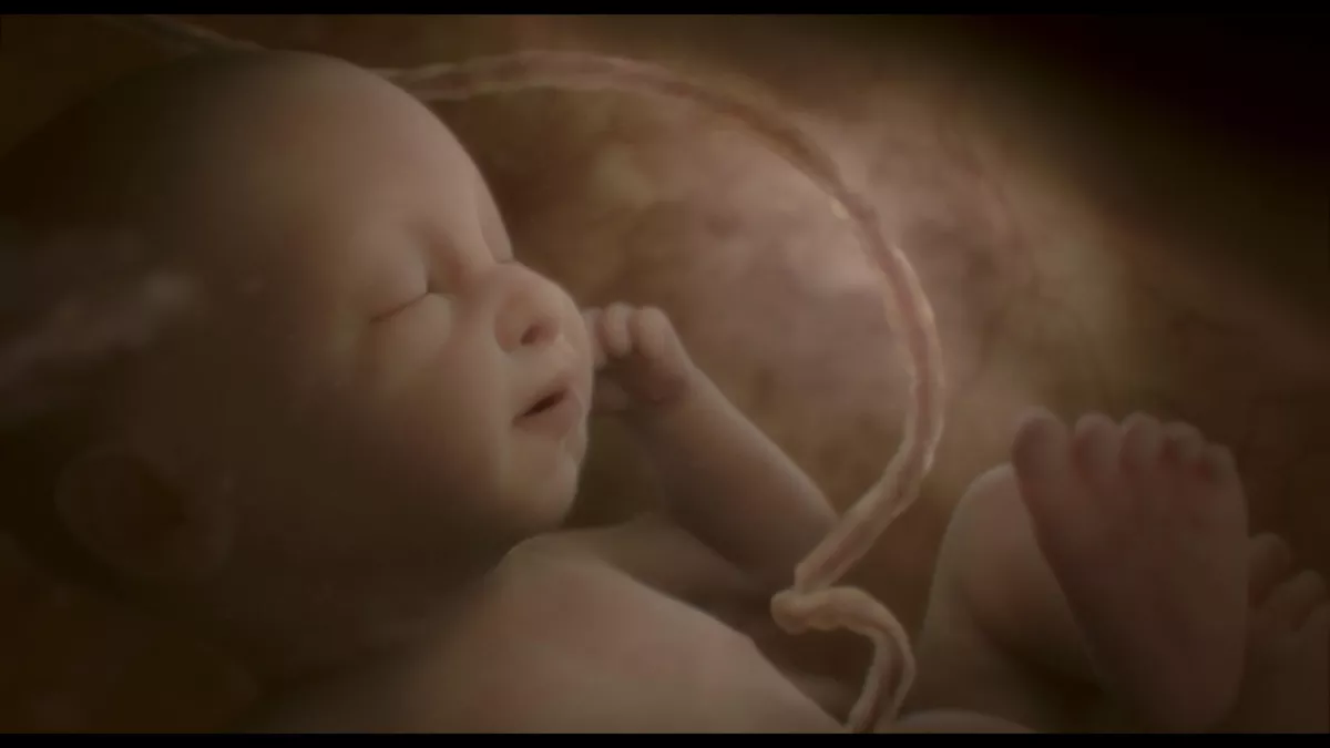 NOS BEBES ONT UNE HISTOIRE