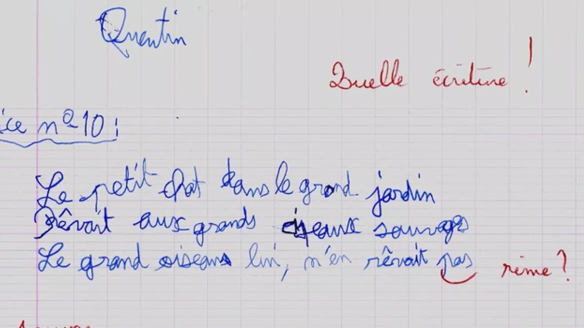 Quentin copie 