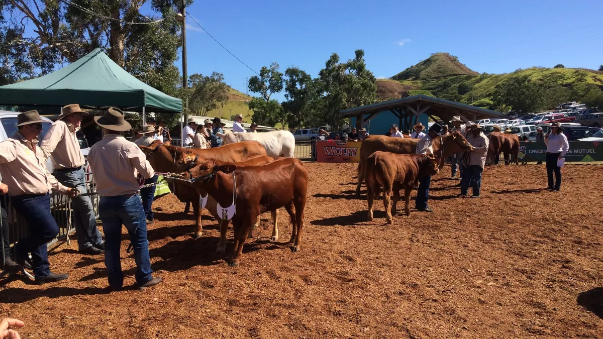 Foire de Bourail 2017