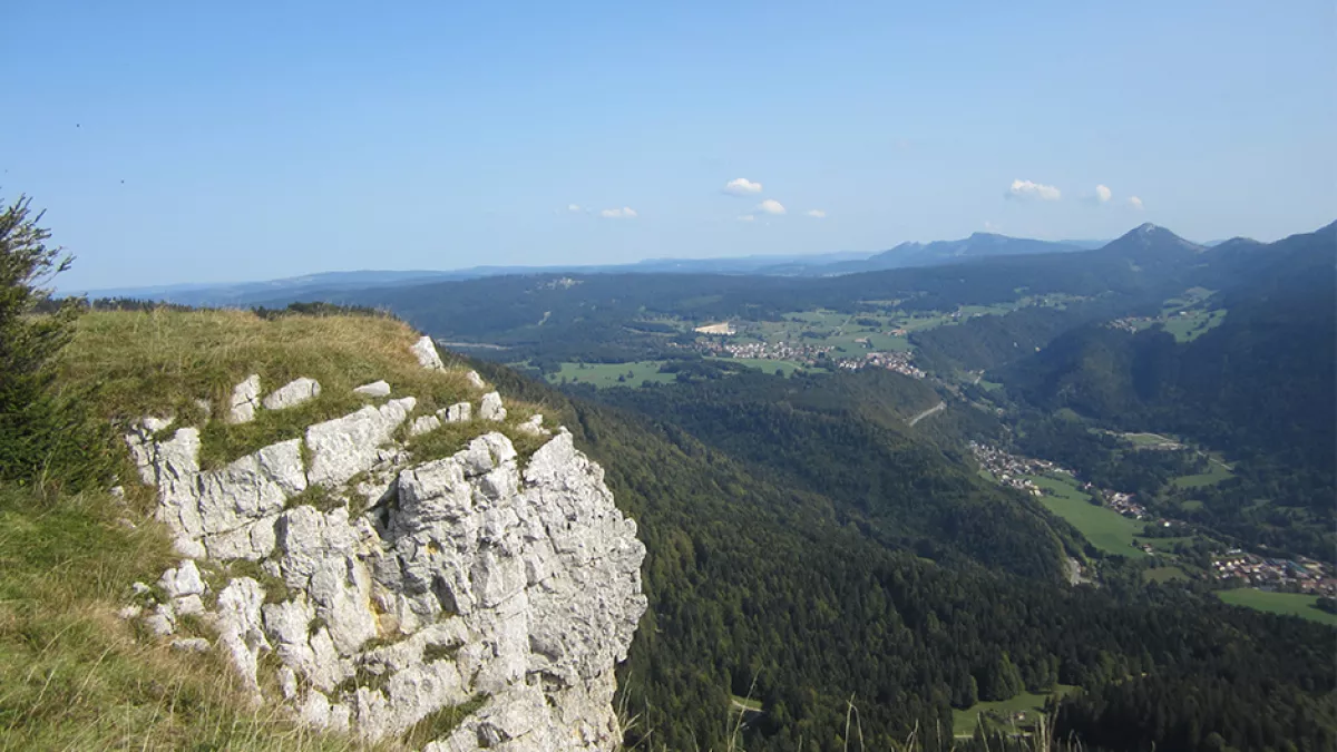 Mont d'Or