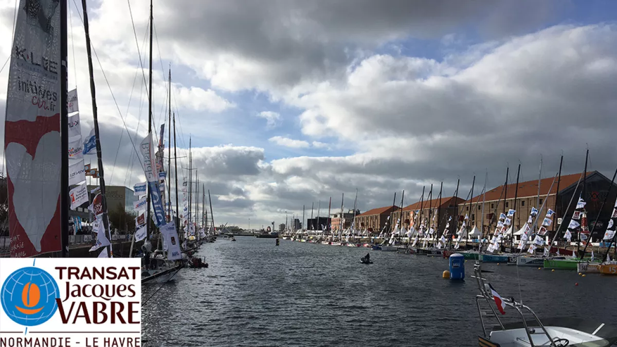 TJV 2019