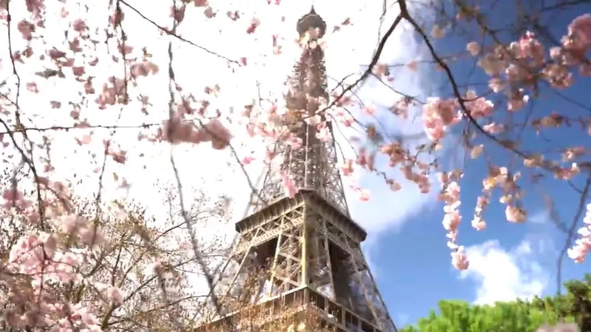 Tour Eiffel 