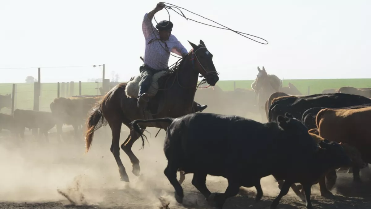 Gaucho Basko