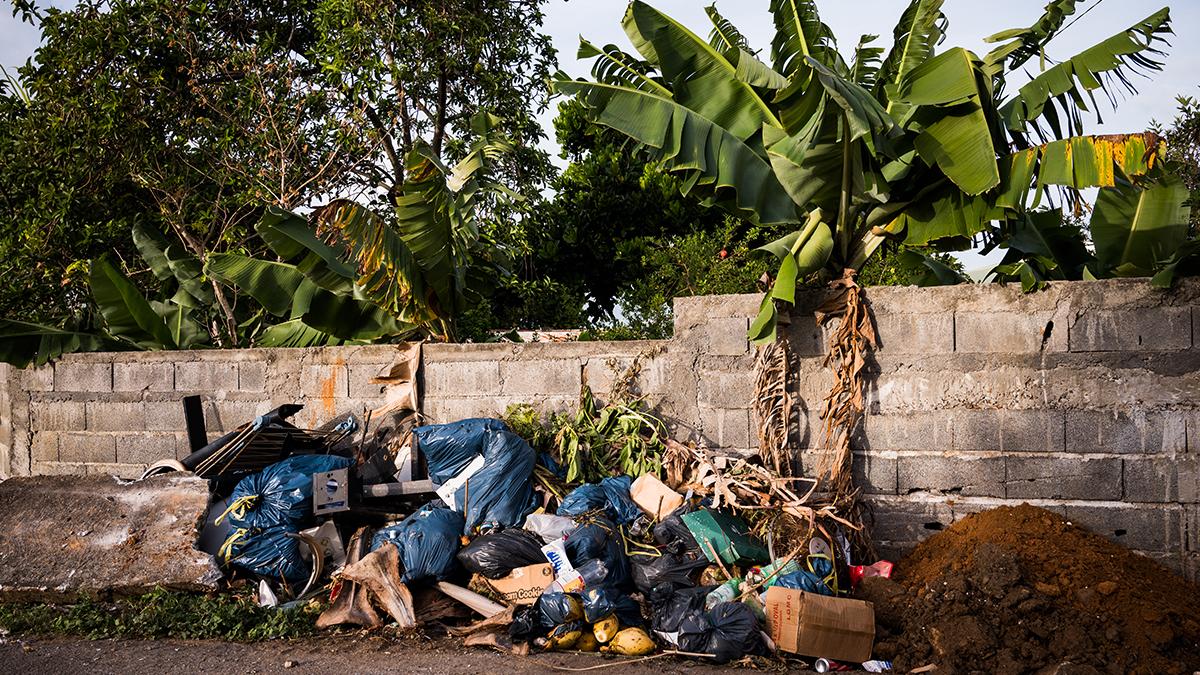 Dépôt sauvage d'ordures à Basse-Terre