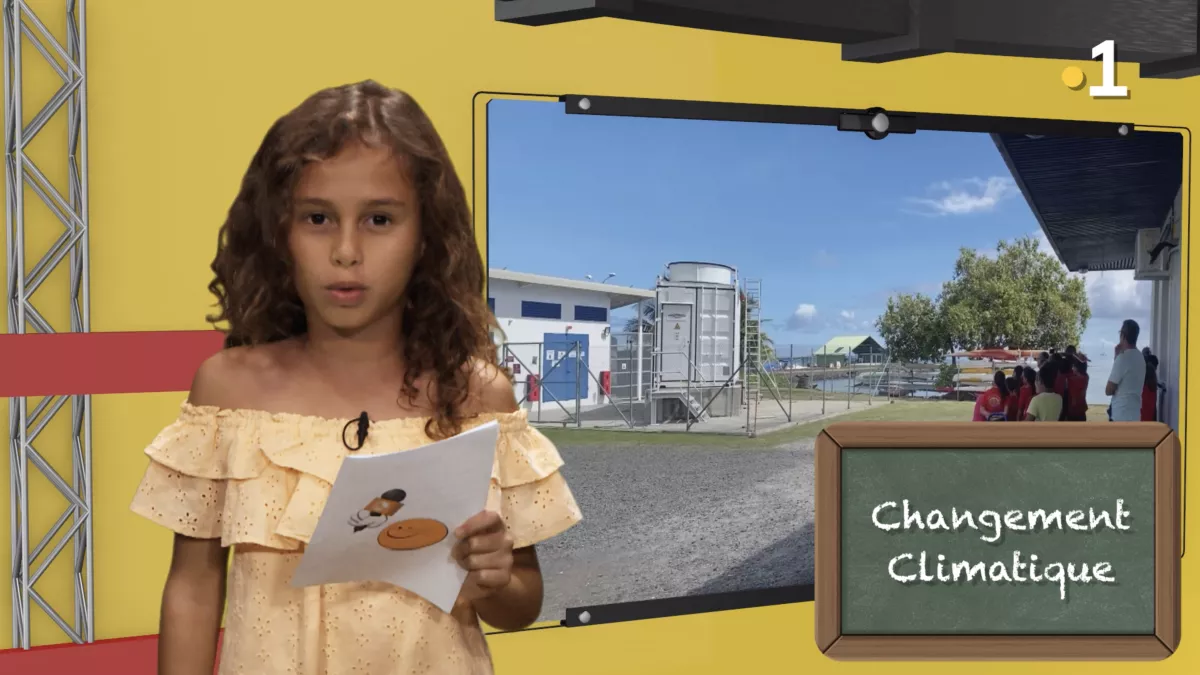 kid reporters 