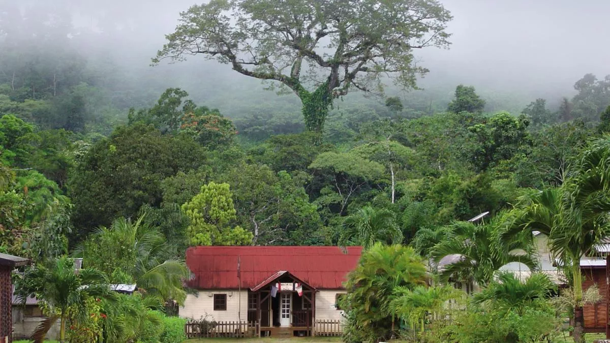 En 2022, France 3 lance la 10e édition du "Village Préféré des Français". Un concours permettant de mettre en avant 14 territoires français. Cette année, la commune de Saül, en Guyane, a été choisie pour représenter l'Outre-mer. Les votes sont ouverts...