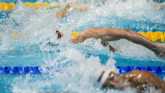 Championnats du monde de natation à Kazan en 2015