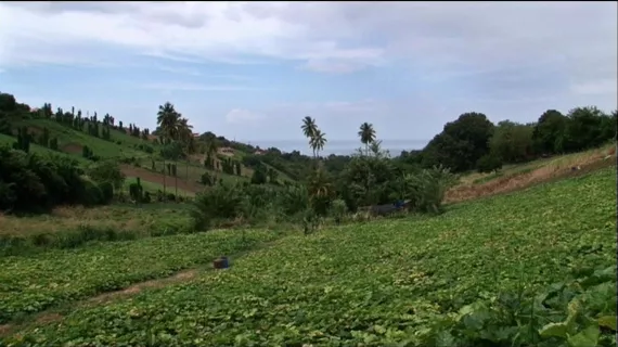 Documentaire Pour un Morceau de sucre
