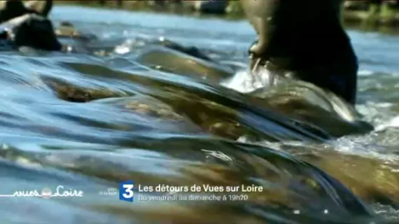 Les détours de Vues sur Loire