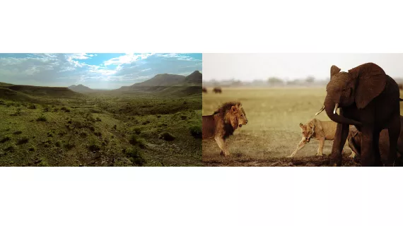 grandeurs nature