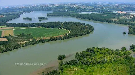 DES RACINES ET DES AILES : DE L'ATLANTIQUE A LA MEDITERRANEE, AU FIL DE LA GARONNE ET DU CANAL DU MIDI  