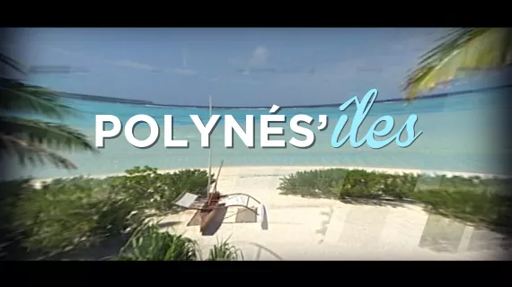 PF SEM 40 POLYNESILES