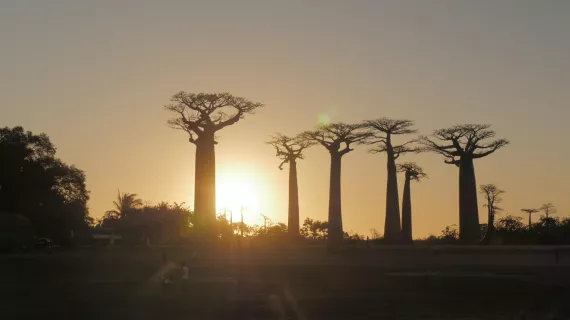 MADAGASCAR