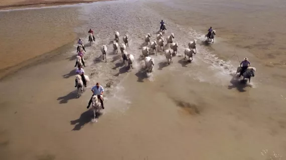 Camargue Les Guardians 