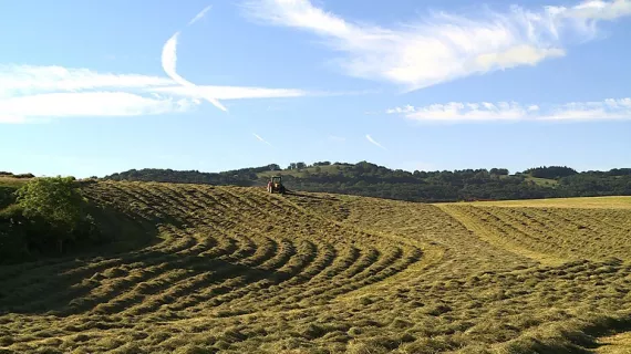 Ils font du foin