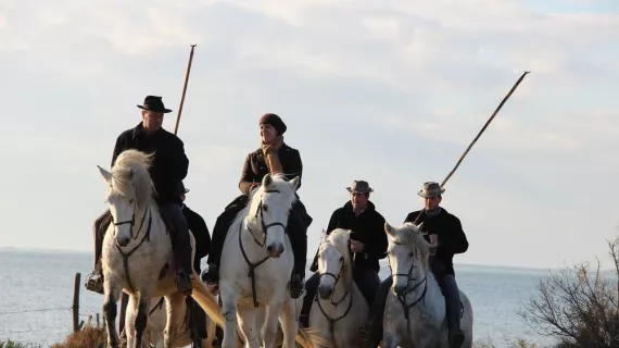 Chroniques Méditerranéennes