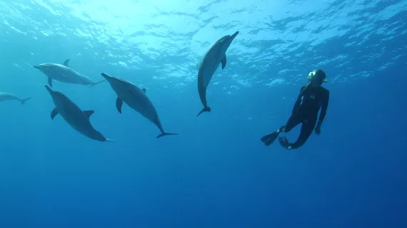 THALASSA