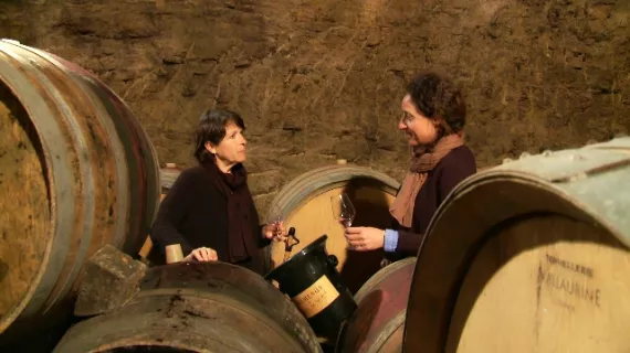 Naturellement vigneronnes 