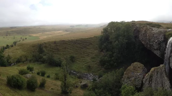 Aubrac
