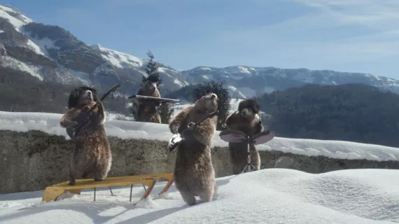 Les Marmottes  d'Hiver © FTV 2016