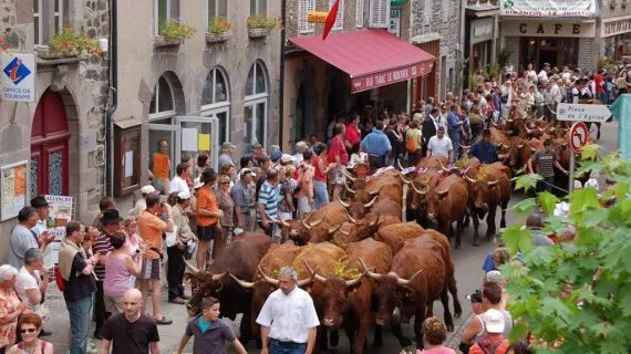 Emission spéciale Fête de l'estive