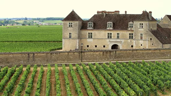 Château du Clos de Vougeot
