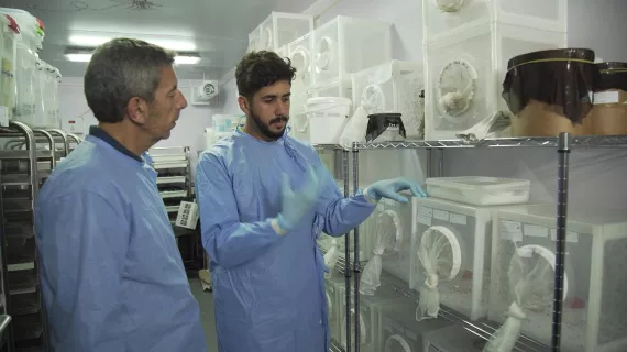 AVENTURES DE MEDECINE : VAINCRE LES EPIDEMIES