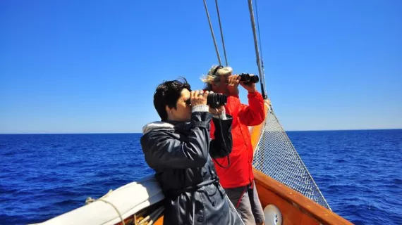 Le chant des sirènes en Méditerranée