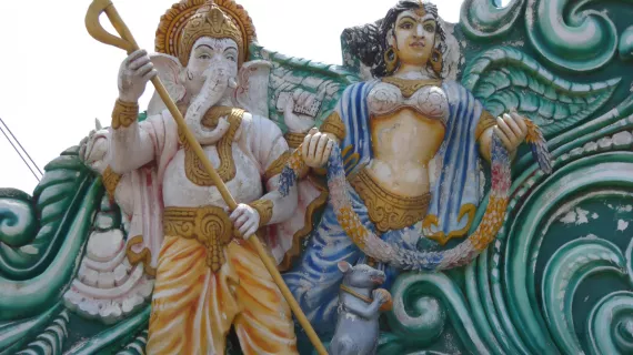 INDE SAUVAGE