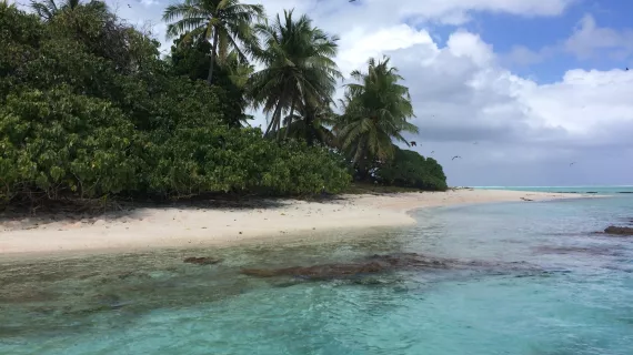 Plage de Polynésie