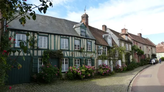 GERBEROY