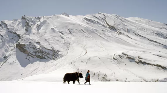 MONTAGNES SAUVAGES