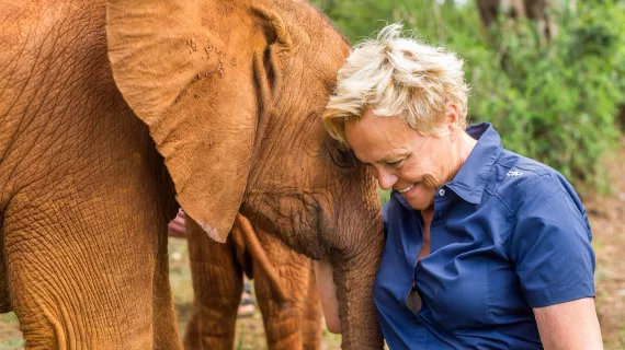SUR LA TERRE DES ELEPHANTS