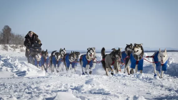 iditarod