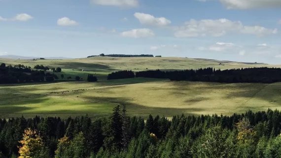 Coup de foudre en Auvergne