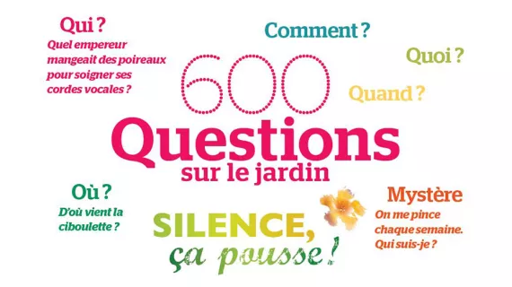 visuel le boite à questions