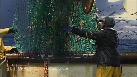 Chalutier en pêche