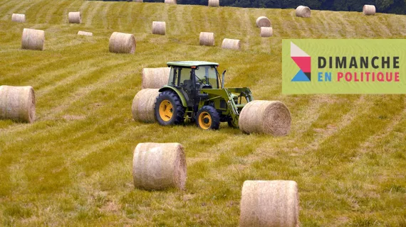 Agriculture