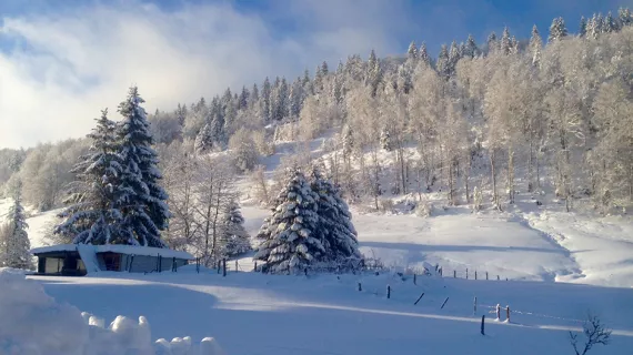 Paysage de neige