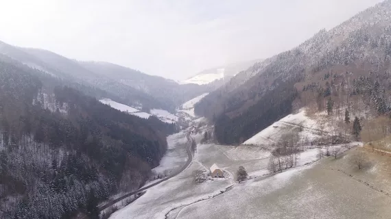 Pourquoi chercher plus loin - Sainte Marie aux Mines, une mine de trésors
