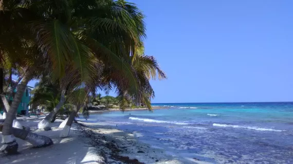 COULEUR BELIZE