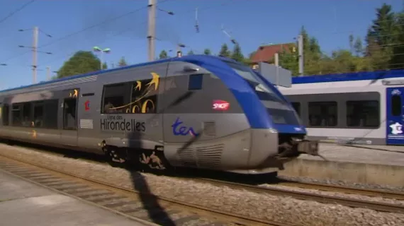 TRAIN